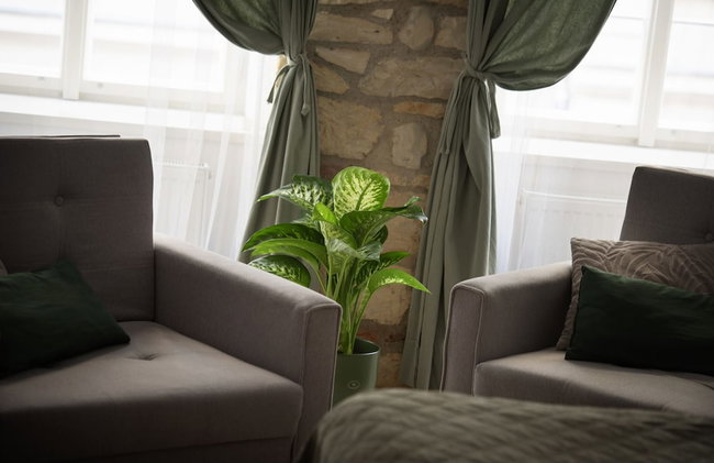 White Swan Boutique Apartments - Foto 76