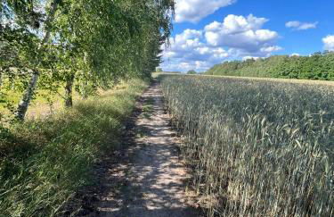 TOP-Ferienwohnung bei Berlin, bis 3 Gäste, Terrasse und Garten - Foto 30