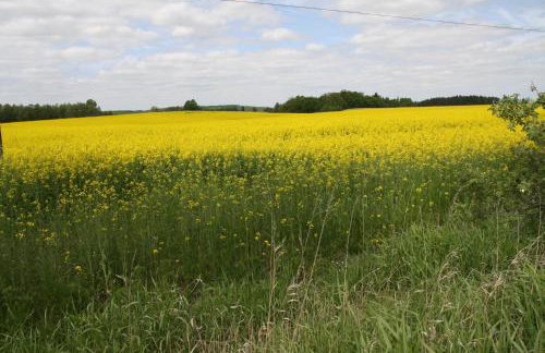 Dwór Barocco - Foto 36