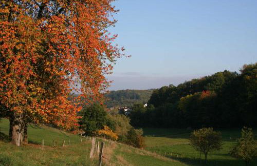 Ferienhaus Auszeit - Foto 23