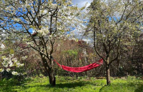 Apartament w ,chlewiku” - Photo 3