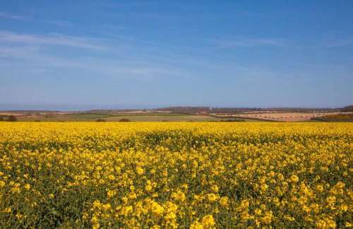 The Clockhouse - Foto 32