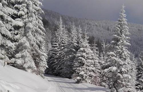 Apartamenty Black&White Lubawka - Domek z ruską banią i sauną - Foto 42