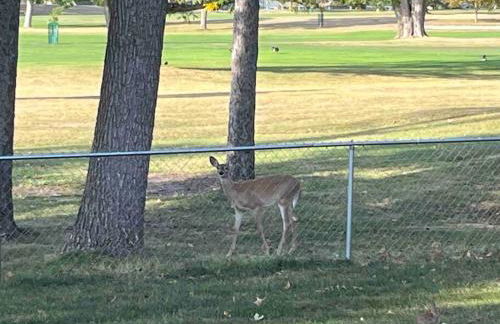Country Club View in Marion, Iowa - Foto 11
