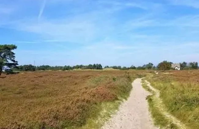 Appartements Post Hiddensee in Vitte - Foto 33