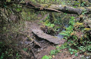 Cantinho do Talasnal - Foto 32