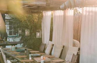 João Jungle - Foto 50