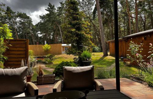 Kiefernblick - Foto 3