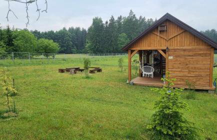Agrosturystyka Leśna 21 - Foto 30