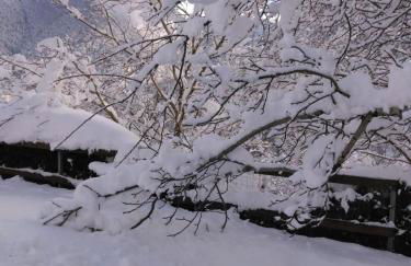 Chalet typique des Pyrénées - Foto 43