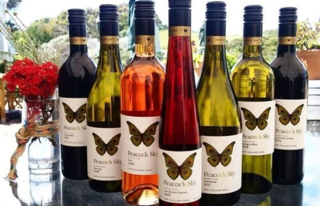 Onetangi Beach Apartments - Photo 61