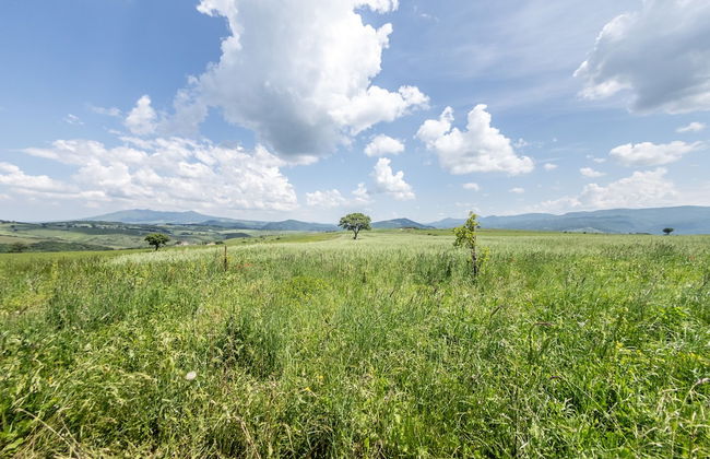 Dimora Schioppo - Irpinia - Foto 43