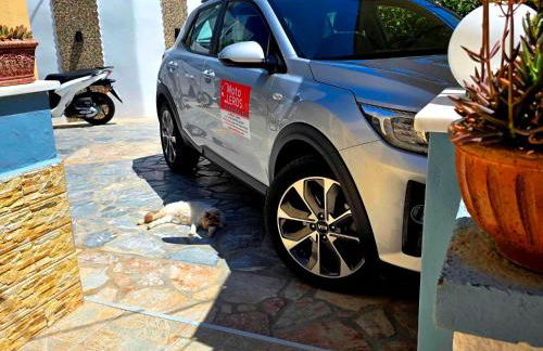 Papafotis Apartments & Suites - Foto 49