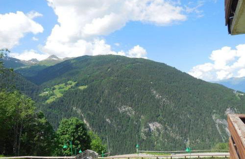 Paradiski calme et ensoleillé plan peisey - Foto 9