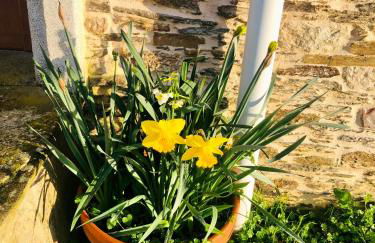 Casa da Forxa, renovated former forge/ smithy - Foto 20