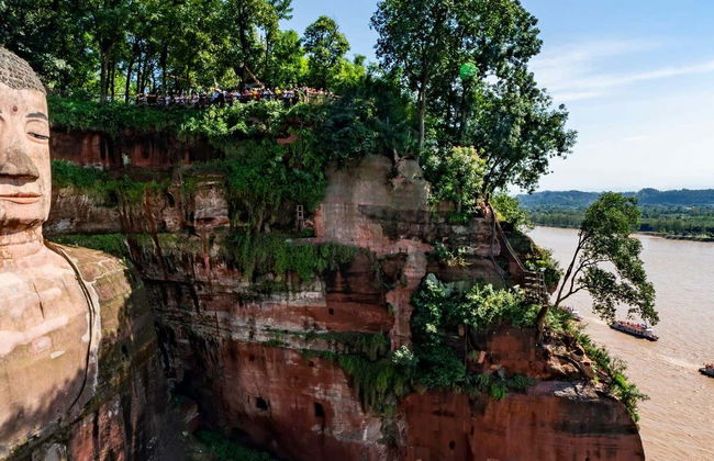Excursion privée du Grand Bouddha de Leshan + Réserve de pandas - Photo 1