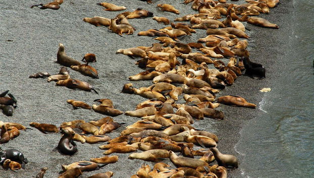 Punta Loma and Cerro Avanzado Trip - Foto 2