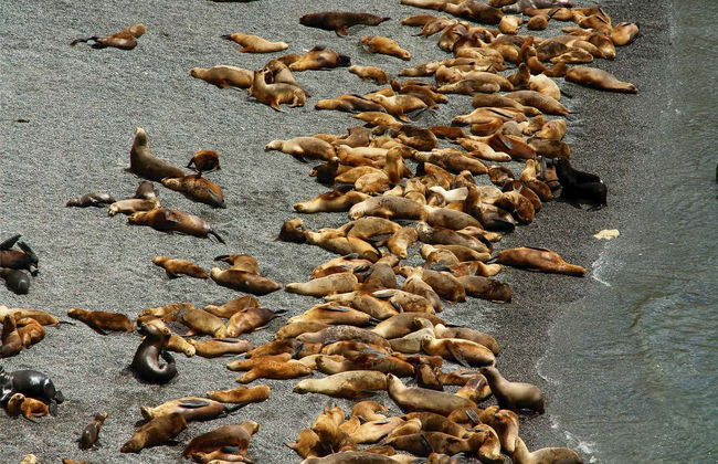 Punta Loma and Cerro Avanzado Trip - Foto 2