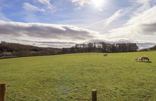 Puddle Duck Cottage - Foto 18