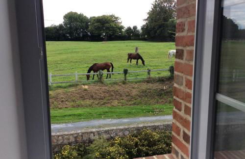 Gîte De L'Etot Fossey - Foto 14