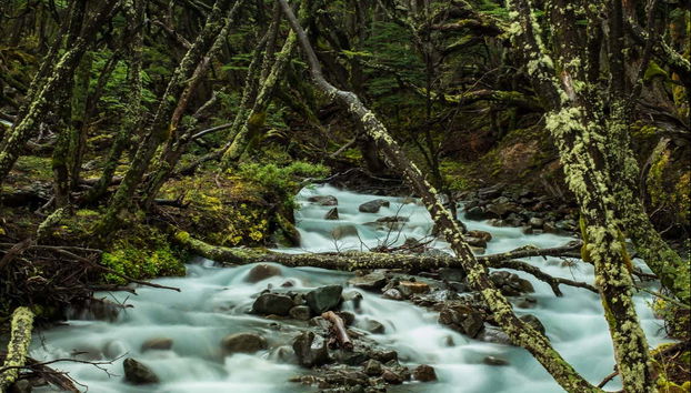 Respirando aire puro