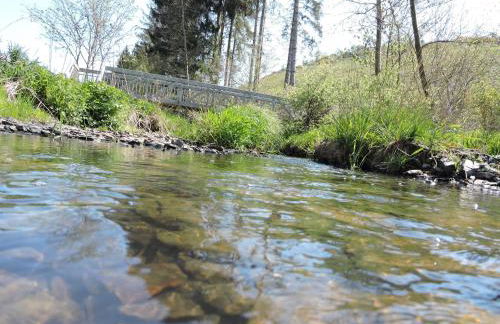 Seveniger Mühle - Foto 10