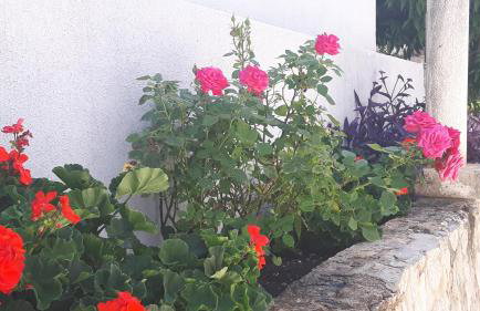 Apartment Ela - Photo 36