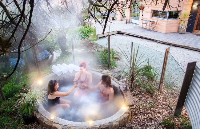 Eco Villa Mt Beauty Near Falls Creek & Bright - Photo 16