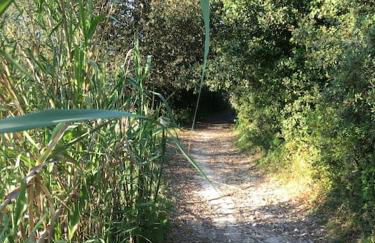 Appartamento tra sole, mare e natura - Foto 43