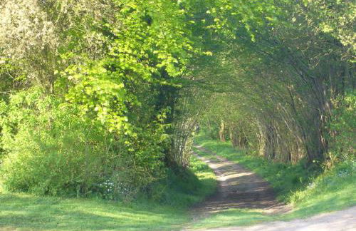 Gemutliche Ferienwohnung in Satow - Photo 37