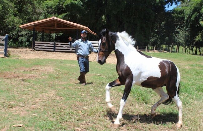 Engenho da Serra Hotel & Ecoresort - Foto 68