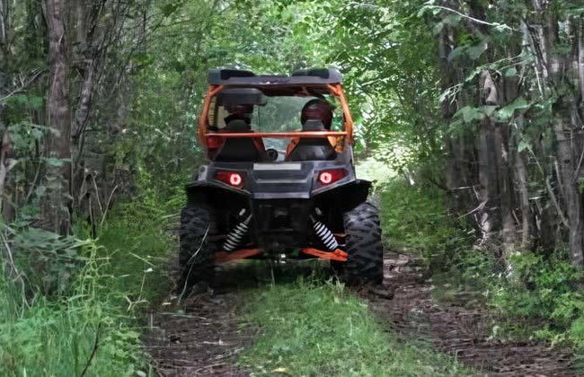 Tour en buggy por la selva de Riviera Pacífica - Foto 1