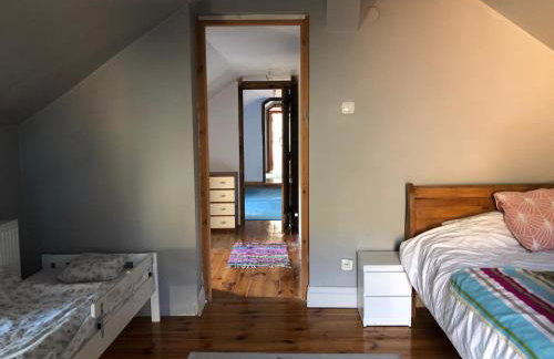 Leśna Willa - Foto 3