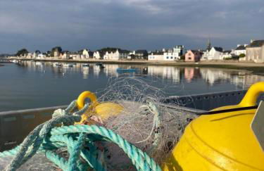 Ty-Du - Bois Brulé - Ile Tudy - Maison Hôtelière - Plage du Sillon - Parking Privé - Photo 59