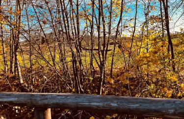 Ferienwohnung I Beck-Bräu nahe Bamberg - Foto 38