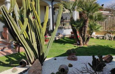 Cactus house - Foto 8