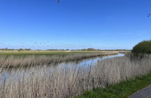 Perle auf Pellworm - Foto 17