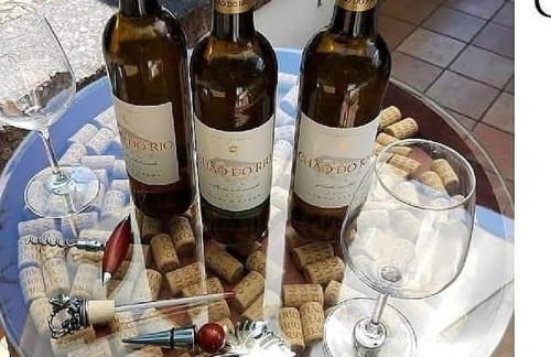 Quinta da Chouza Agroturismo e Enoturismo - Foto 38