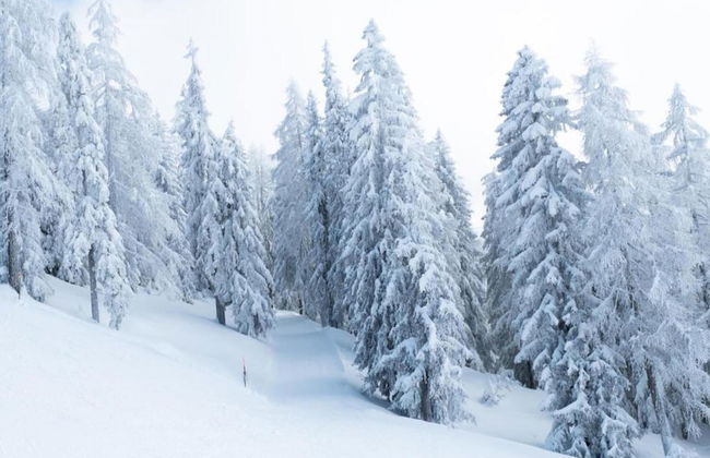 Family Stay in Aletsch Alps - Foto 32