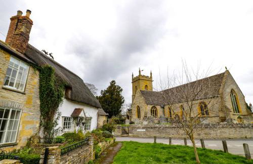 Alstroemeria - Photo 15