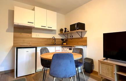 123 - Le Nova - 4 pers, terrasse, transports - Photo 3