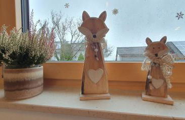 Gemütliche Ferienwohnung mit Terrasse, im Schwarzwald - Foto 16