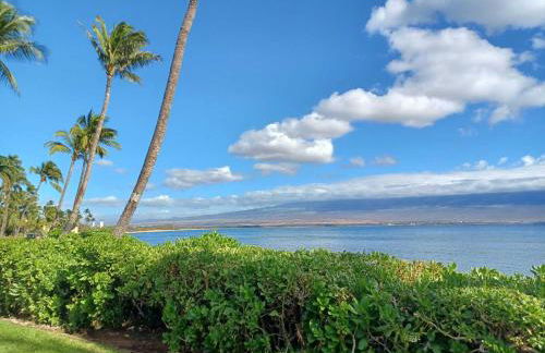 Island Sands 206 - Foto 22