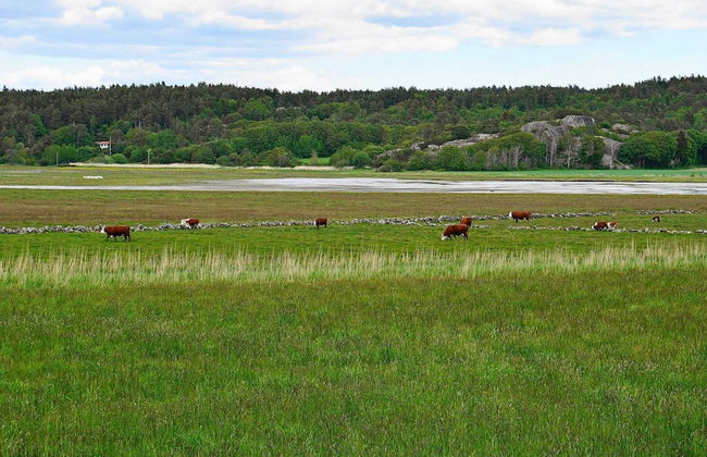 5 Person Holiday Home in Varekil - Foto 44