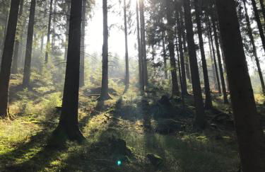 Ferienwohnung Hesselbach - Foto 29