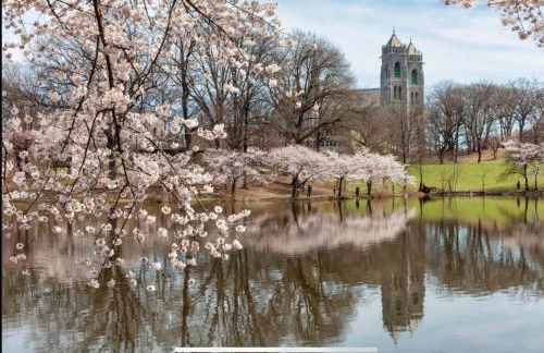 Cozy 1 BR, walk to subway, Free WiFi & Parking - Foto 17