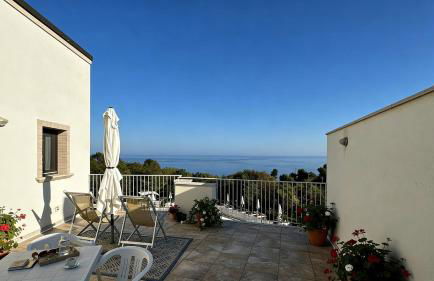 CONTEA DEI CILIEGI (official) - Foto 29