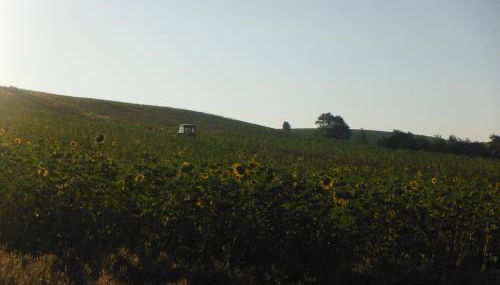Ferienhaus Sonneneck - Foto 3