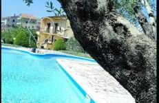 I Giardini Di Eidos - Foto 34