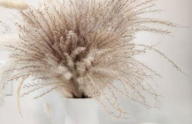 Serene Space! Waterfront Home! - Foto 40